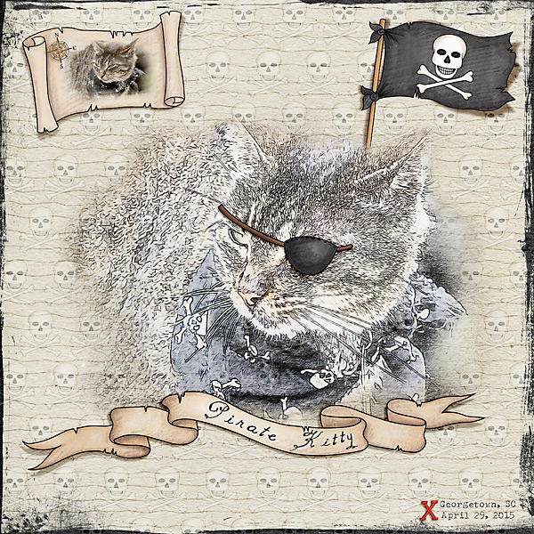 Pirate Kitty
