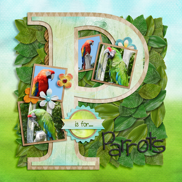 PIsForParrots