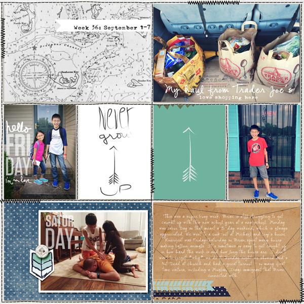 PL 2014 Week 36a