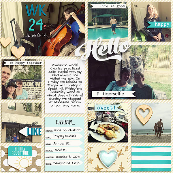 PL 2015 Week 24