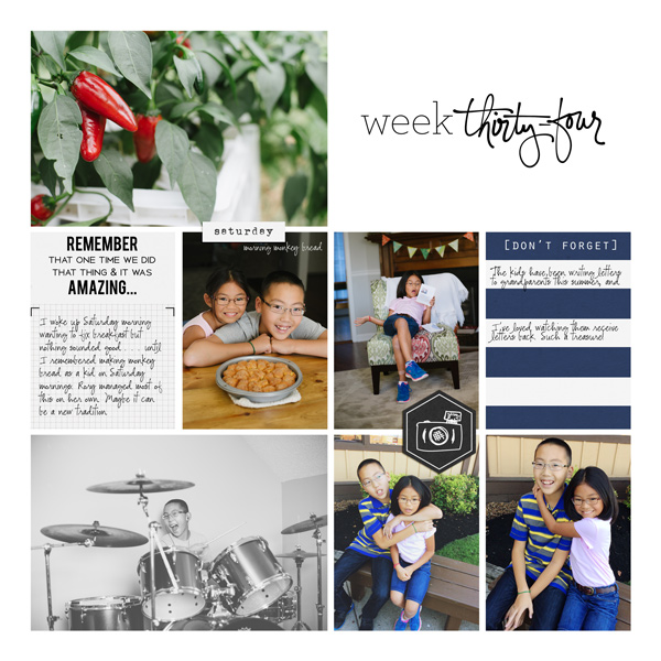 PL 2015 Week 34b