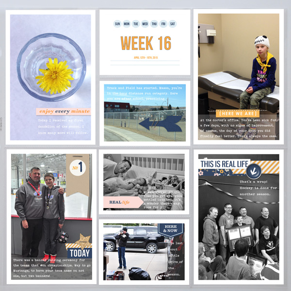 PL2015 - Week 16
