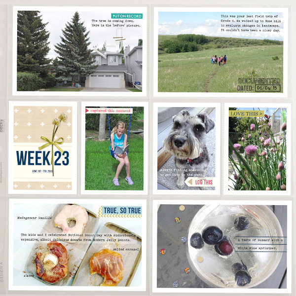 PL2015 - Week 23