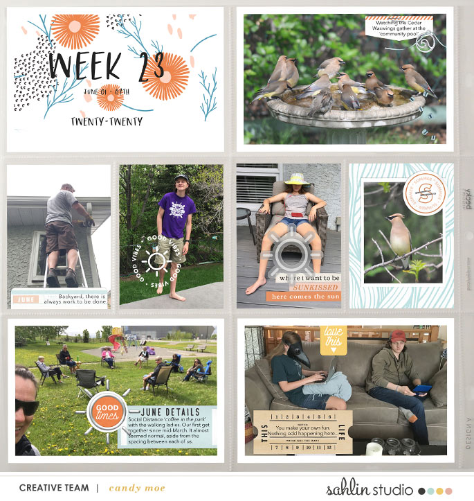PL2020 - Week 23 | Sahlin Studio