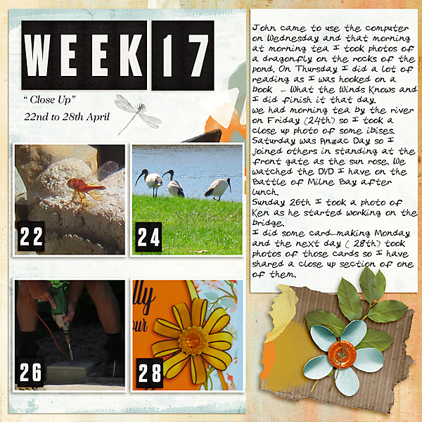PL2020_Week17_close-Up