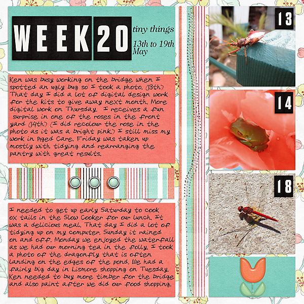PL2020_Week20 Tiny Things