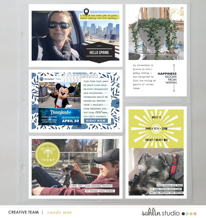 PL2021 - Week 11 | Sahlin Studio