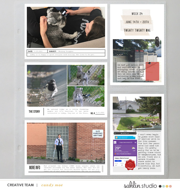 PL2021 - Week 24 | Sahlin Studio