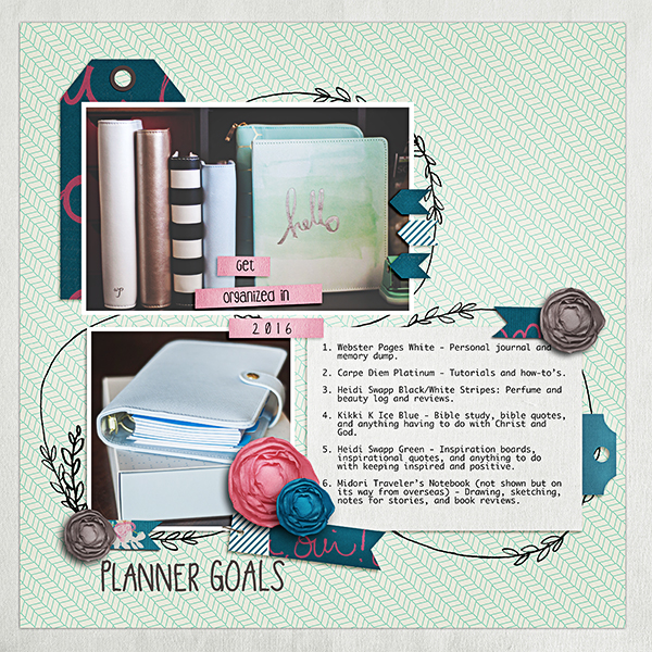 Planner Goals 2016MOC-2