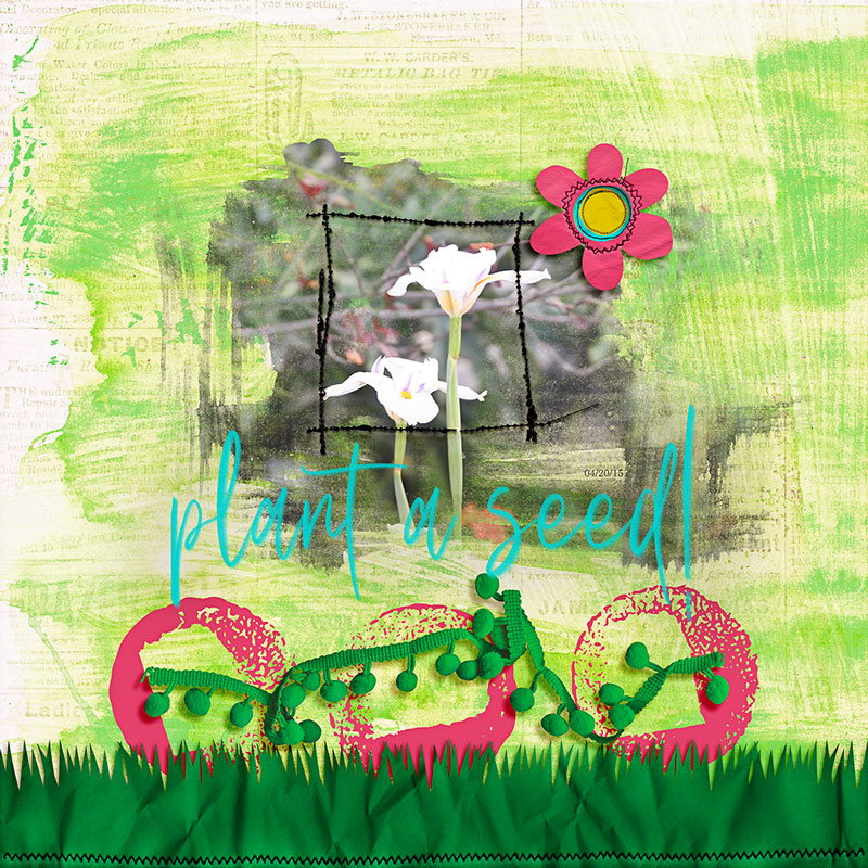 Plant a Seed