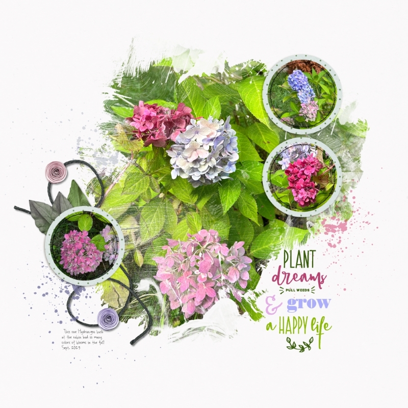 Plant Dreams