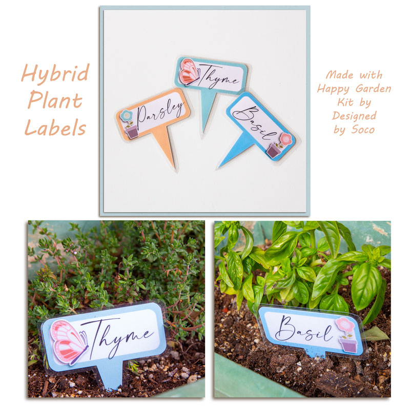 Plant Labels (hybrid)