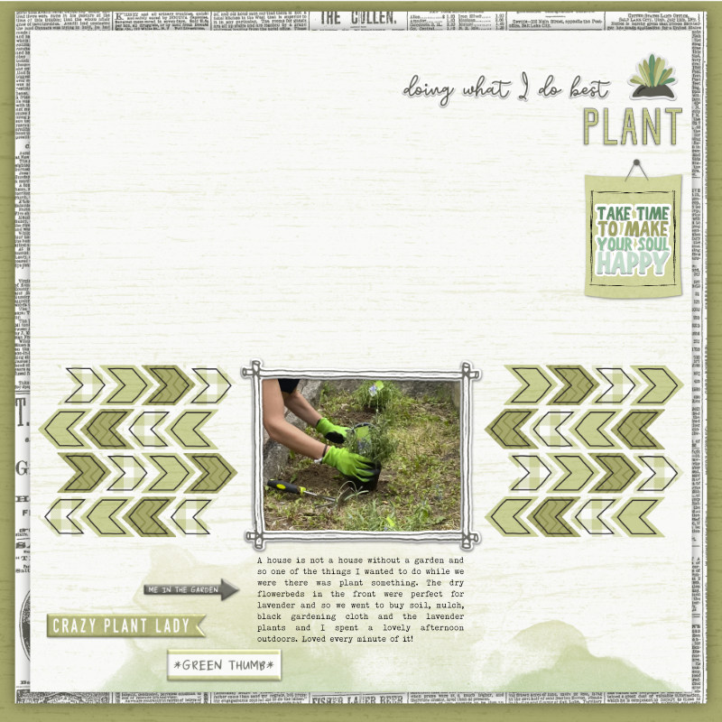 Plant