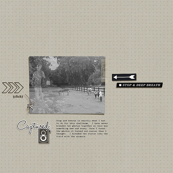Plantation-living_Charleston