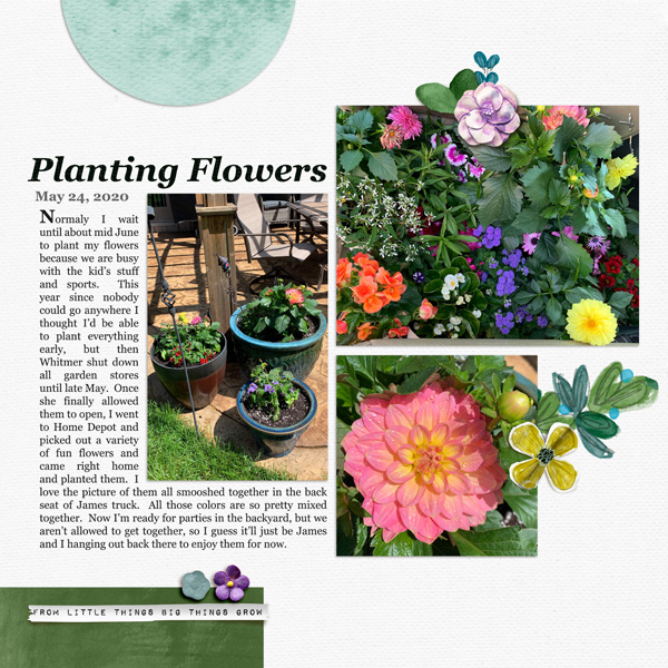 Planting Flowers 2020