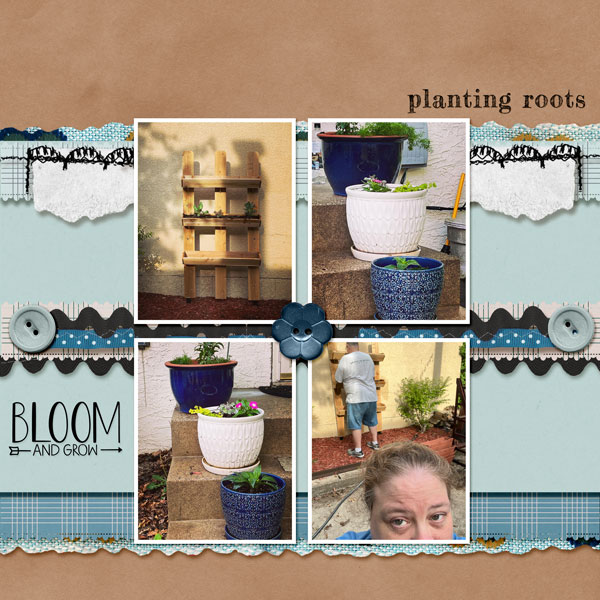 Planting-Roots