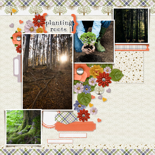 Planting Roots