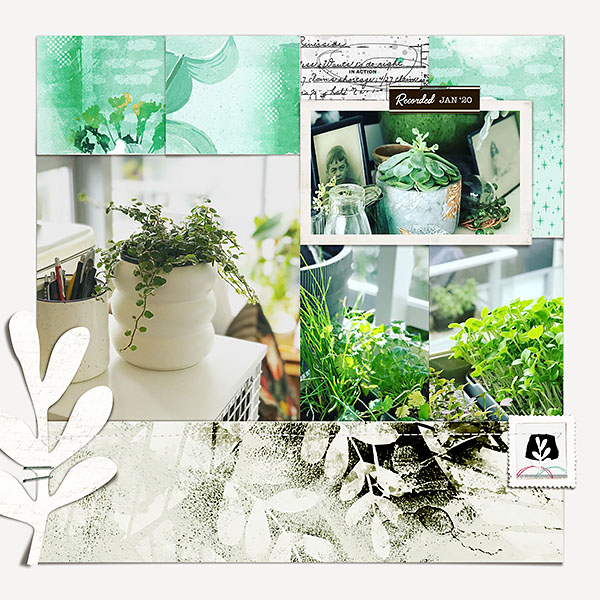 Plants