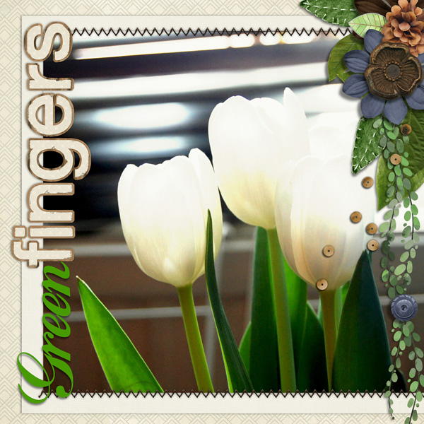 PlantsLadies_B