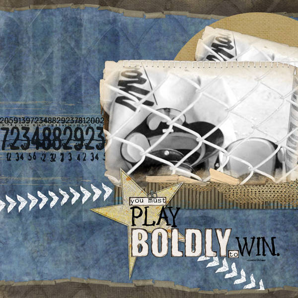 Play Boldly ***Photo Swap for Kristin***