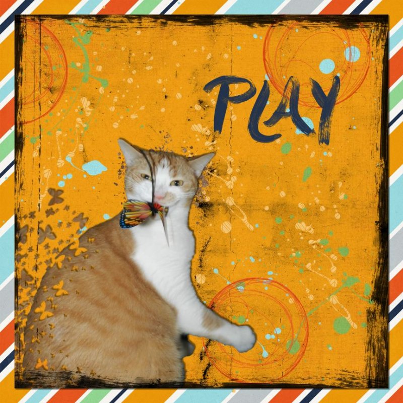 Play