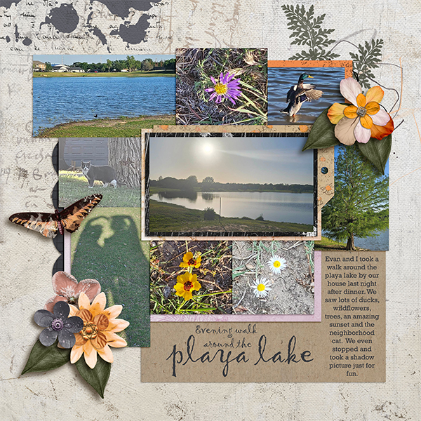 Playa-Lake