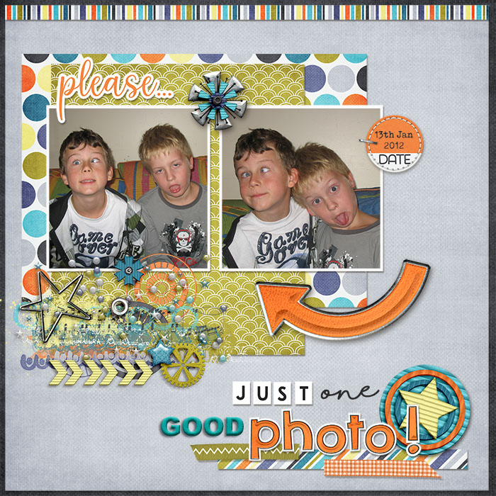 Please Just One Good Photo