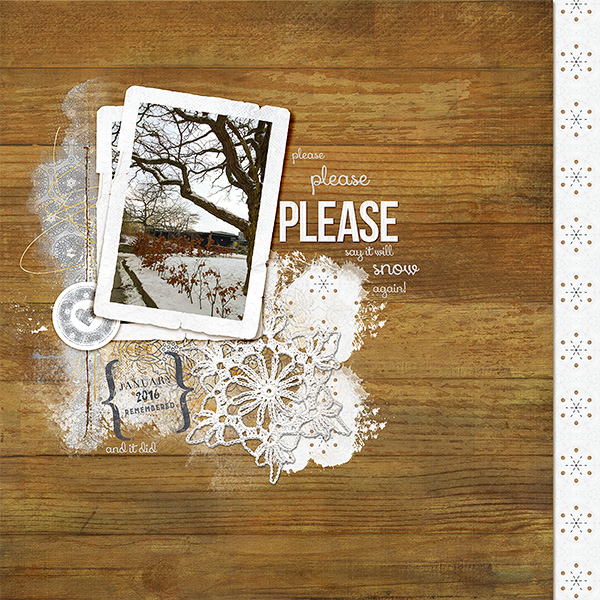 Please please please