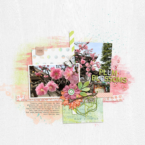 Plum Blossoms