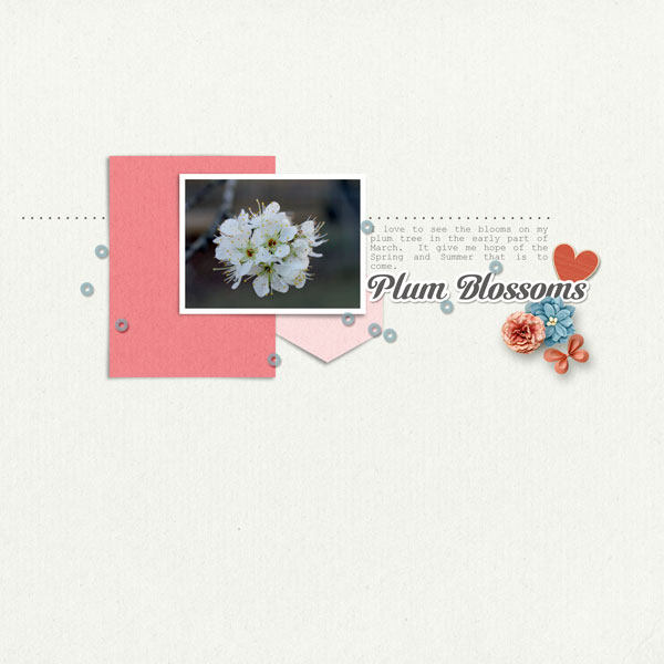 Plum-Blossoms_Photography-Challenge