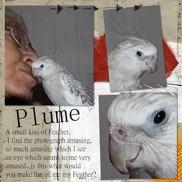 Plume