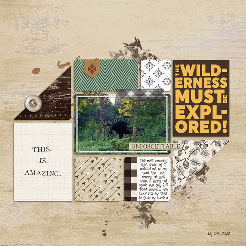 PMwilderness-erica