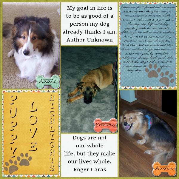 Pocket Page Challenge600