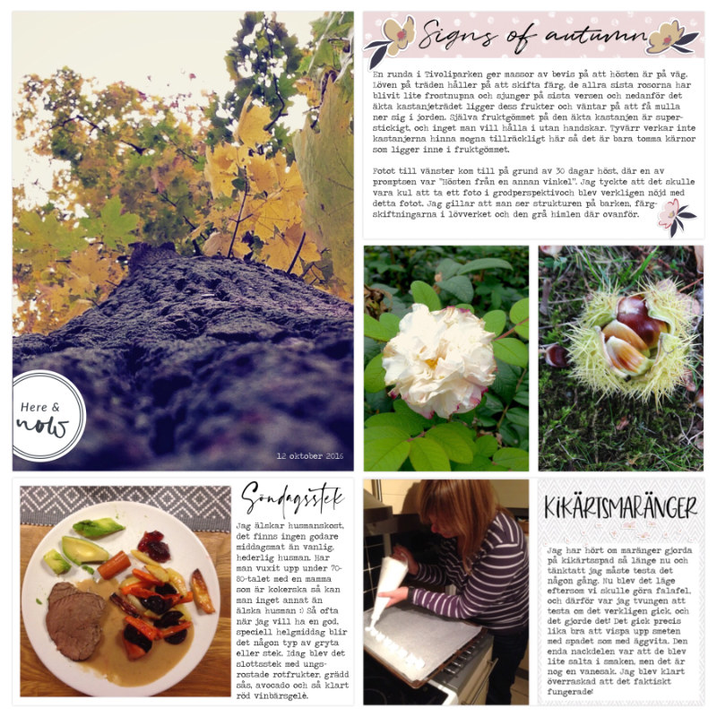 Pocket page w 41 2016 page 2