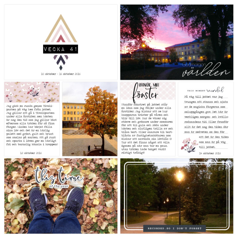 Pocket page w 41 2016