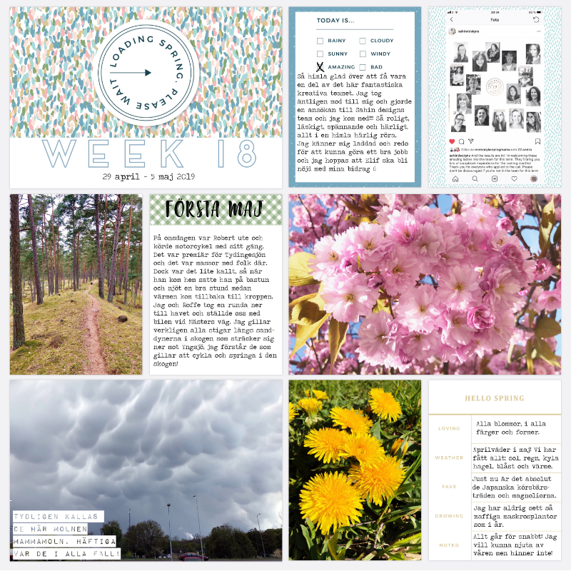 Pocket page week 18