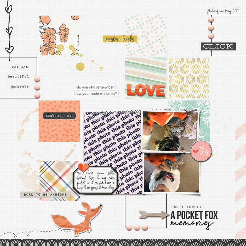 PocketFox082019SC-SS118T&SCdaydreamT1