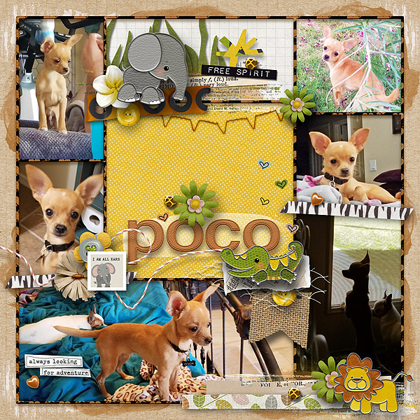 Poco-Collage-