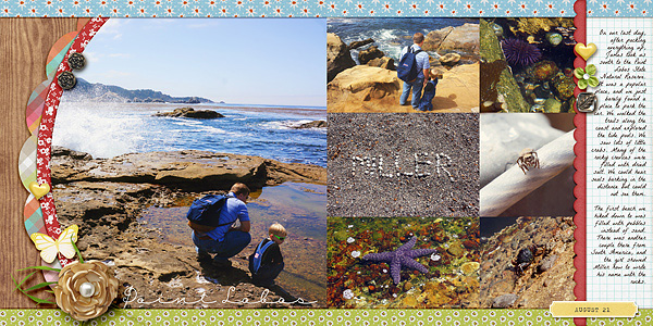 Point Lobos