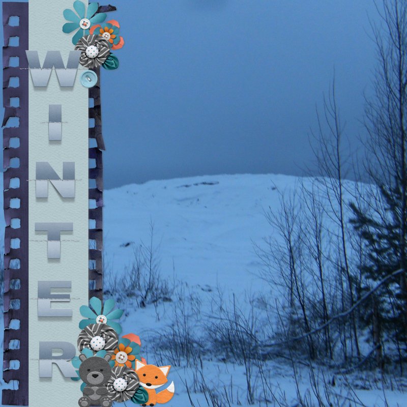 Polar night.jpg