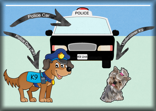 Police-Units