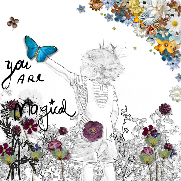 Polin1 Magic