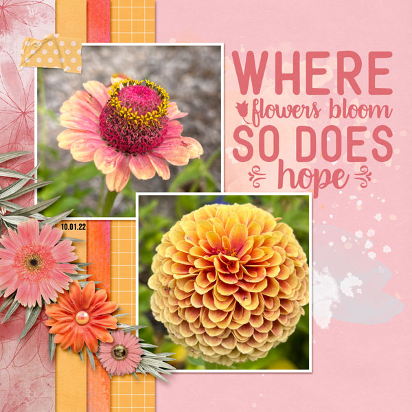 Polinator_Blooms