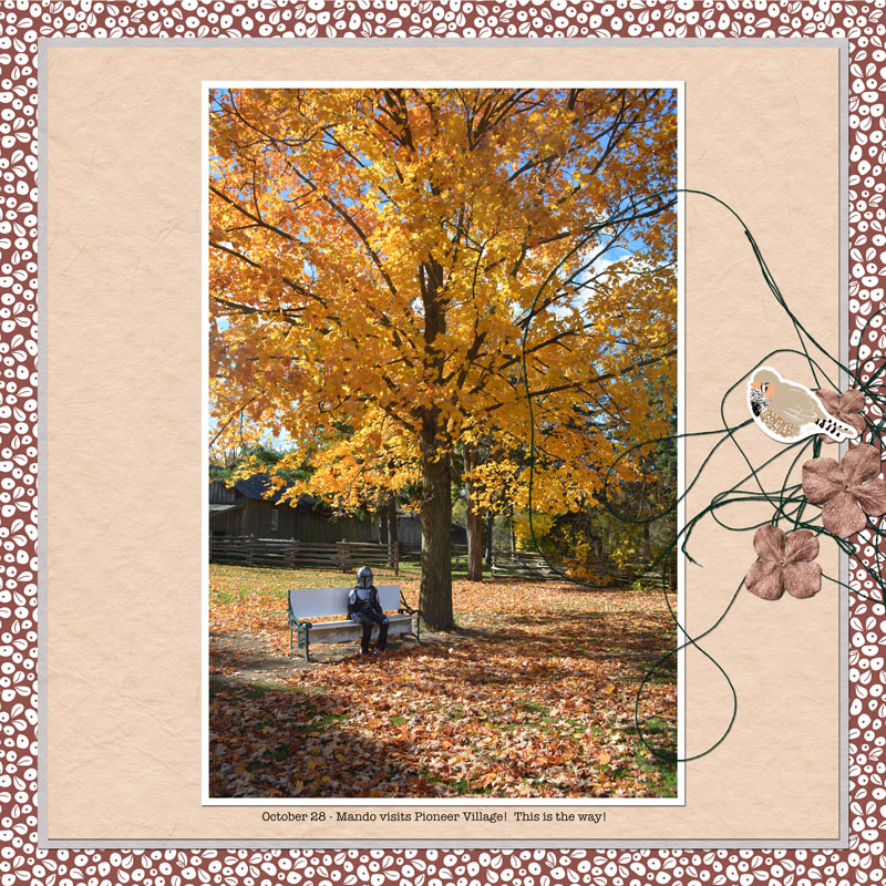 Polly-Inspiration-DSD-2024