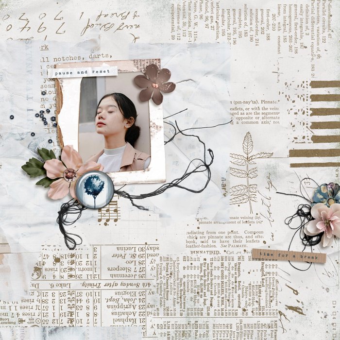 Polly Inspiration Scrap Challenge | DSD 2025