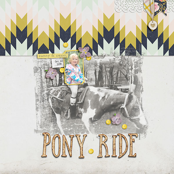 Pony Ride