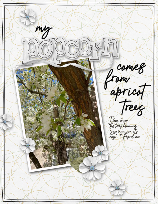 Popcorn grows on trees