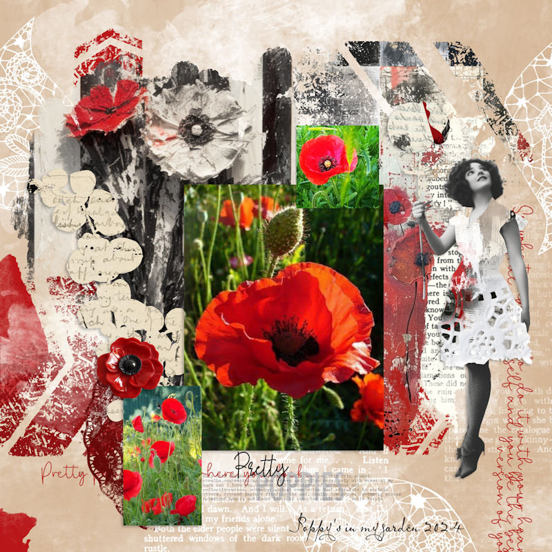 Poppies In The Garden.jpg Klein
