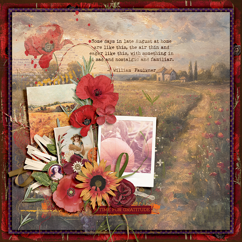 Poppies