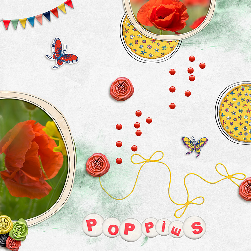 Poppies